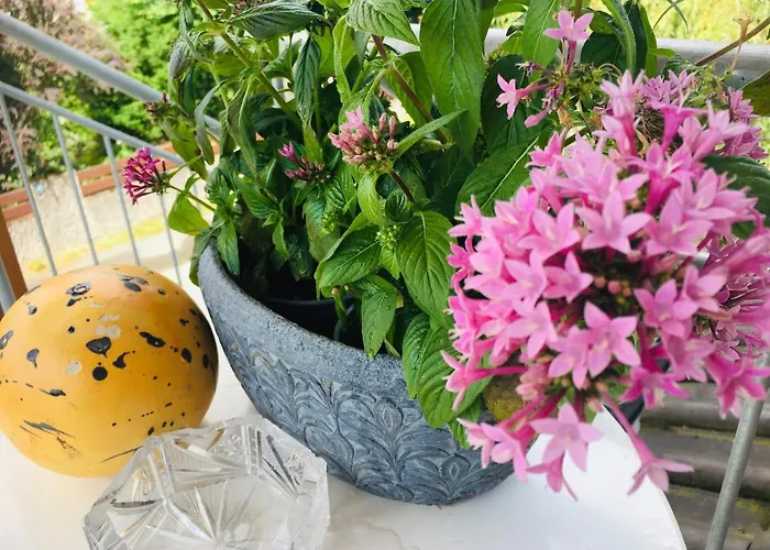 Ferienwohnung Bergblick