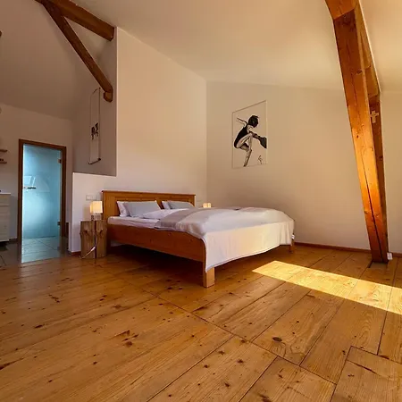 Apartment Bergblick Bad Aibling